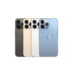 iPhone 13 Pro Back Panel
